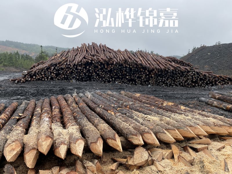 6米長(zhǎng)松木樁有哪些作用，多少錢(qián)一根？