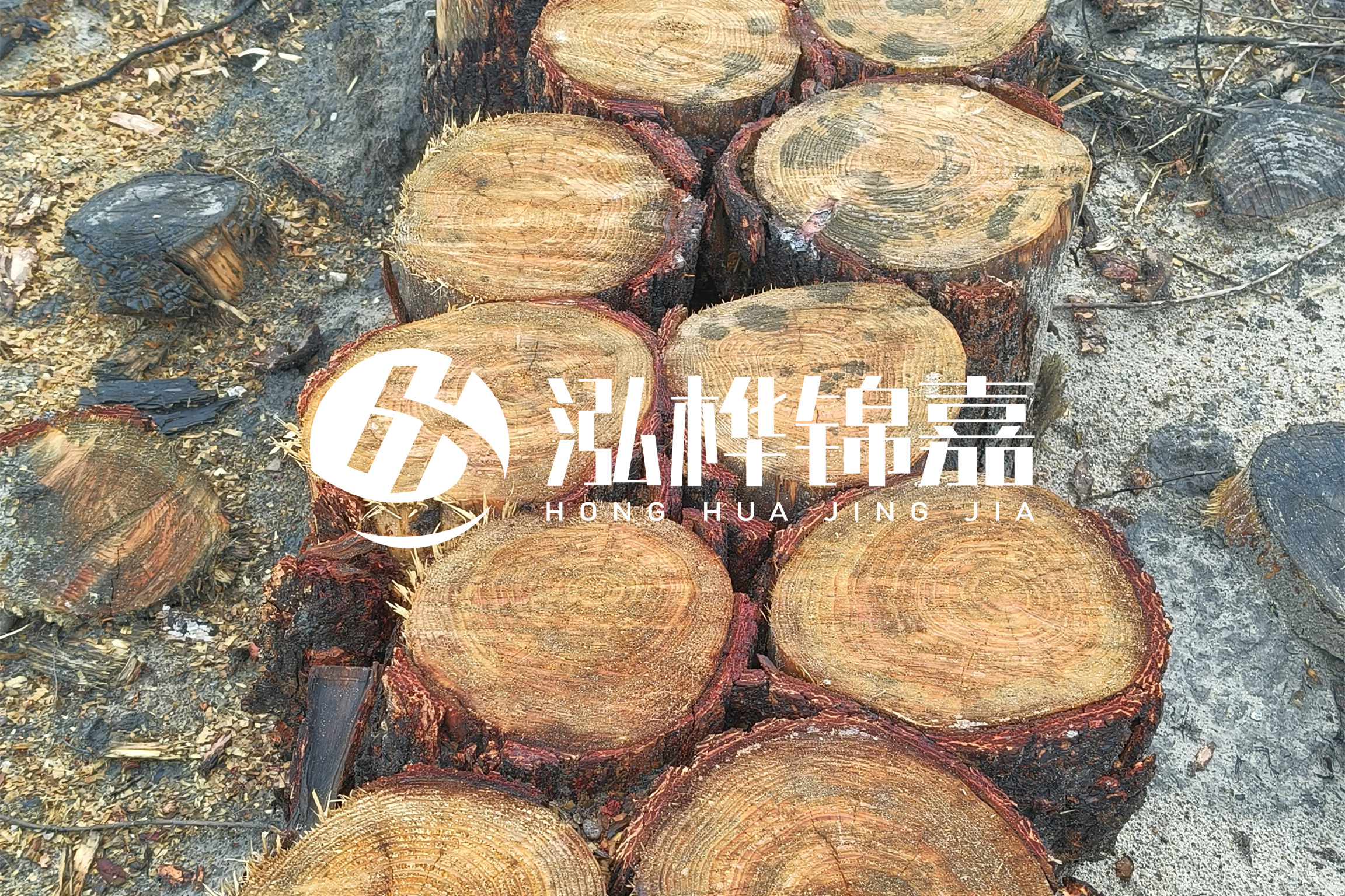 浙江臺(tái)州有清淤的公司嗎？浙江臺(tái)州有清淤施工隊(duì)嗎？