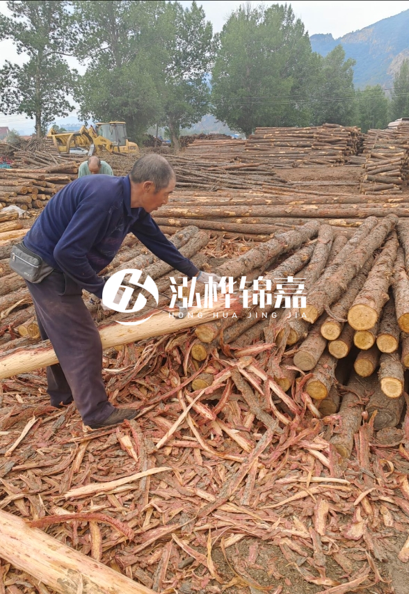 東營河道清淤專業(yè)施工隊(duì)-不同型號(hào)挖機(jī)清淤能力對比？
