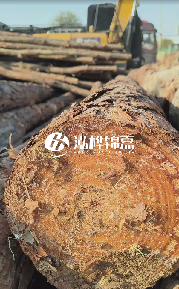 杉木樁價(jià)格多少錢一方-3米直徑14公分杉木樁價(jià)格？
