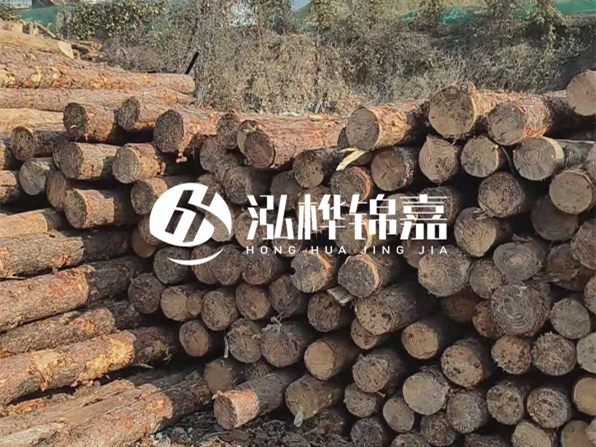 落葉松木材的主要產(chǎn)地在哪里？為什么比其他松木更耐腐蝕？