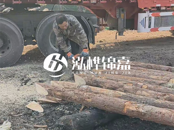松木圓木價(jià)格大概多少一方-松木樁廠家按方可以賣嗎？