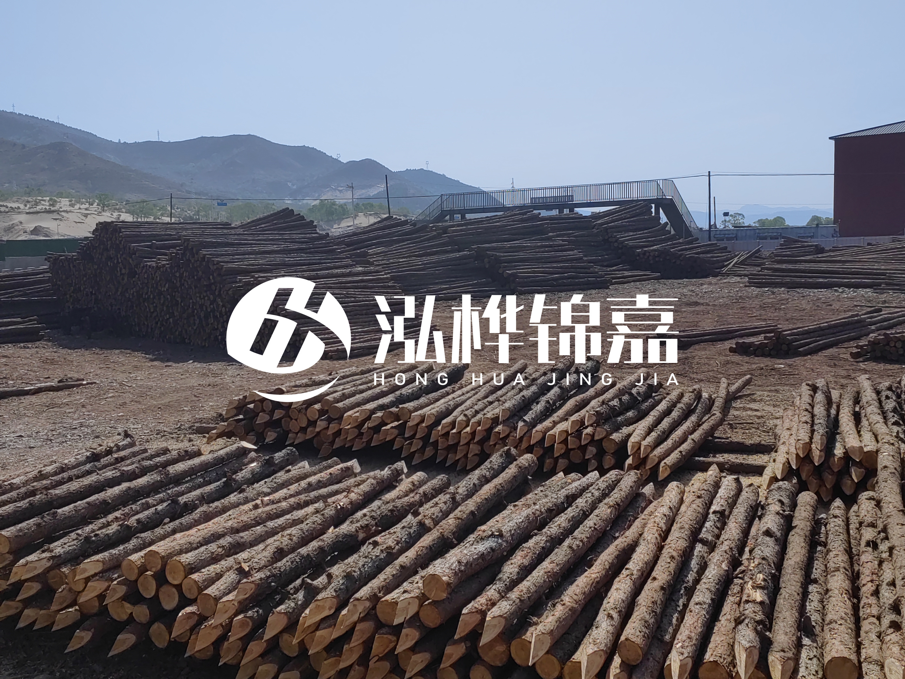 江蘇打樁木源頭廠家泓樺錦嘉-4米打樁木大頭14-16小頭一般多少？