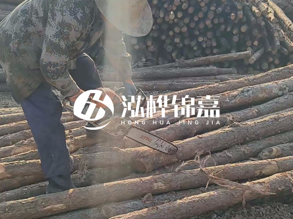 廣東打樁木源頭廠家泓樺錦嘉 - 如何選擇適合特定邊坡的松木樁？