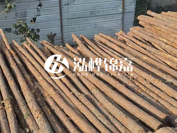 松木樁打樁后清淤怎么處理？有沒有全包的公司？